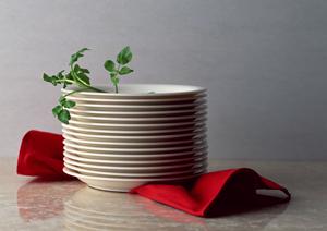 ガチャガチャの森：多彩なコレクションと楽しさあふれる体験を提供する店舗ガイド